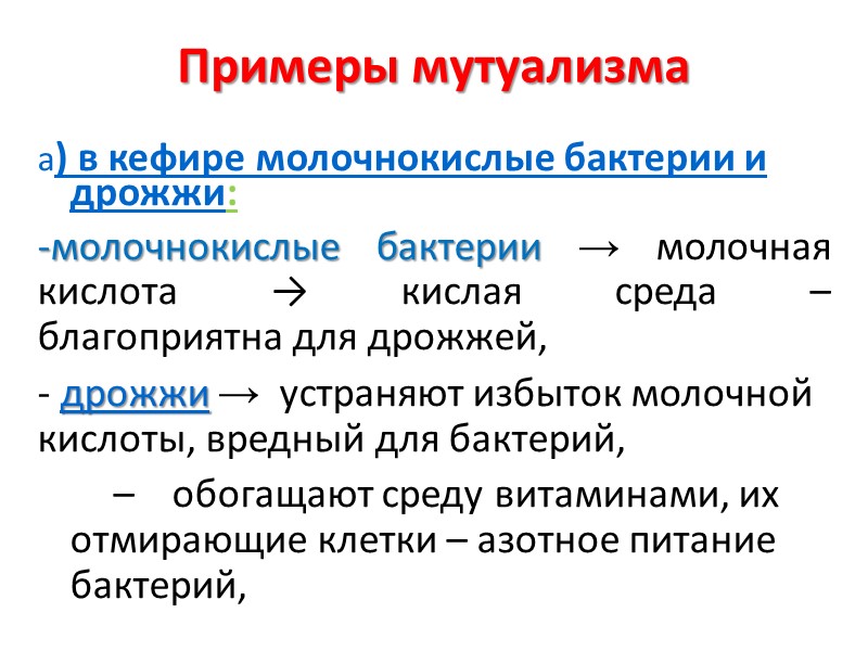 Примеры мутуализма  а) в кефире молочнокислые бактерии и дрожжи: молочнокислые бактерии → молочная